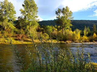 Fototapeta premium An autumn day on the Icicle River 