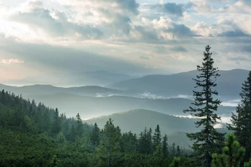 Foto op Canvas Carpathian mountains © Galyna Andrushko