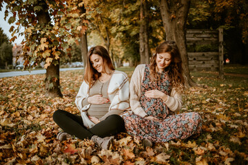 Two beautiful pregnant ladies relaxing in the park