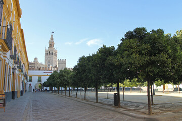 Obraz premium Patio of flags square of the Alcazar of Seville, near the Seville Cathedral and Royal Alcázars, August 20, 2020.