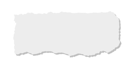 Torn Piece of Paper with Room for Copy