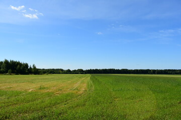 field and blue sky