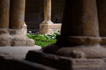 Monastery of Silos, Santo Domingo de Silos, Burgos, Spain