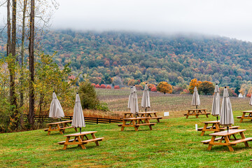 Empty picnic tables in autumn fall foliage season countryside at Charlottesville winery vineyard in...