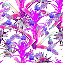 Guzmanie with aloe vera, exotic iiplants and leaves, seamless pattern.