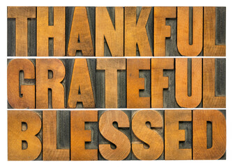 thankful, grateful and blessed - isolated word abstract in vintage letterpress wood type, Thanksgiving theme and greeting card