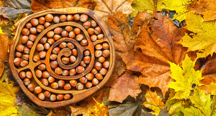 hazelnuts on wooden board and autumn leaves background
