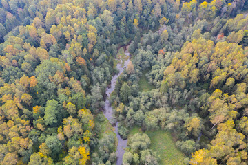 Aerial top down view of winding river flowing through green forest