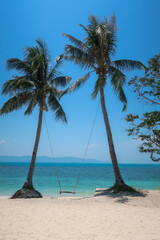 Swing between two palm trees. Paradise beach, Leelah beach, Koh Phangan, Thailand, Asia