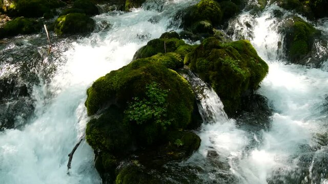 Insanely beautiful picturesque Mountain river Bistrica in Montenegro flows over stone boulders covered with green moss.