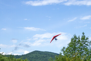 Fototapeta na wymiar Hang gliding over the forest on a Sunny day in summer.