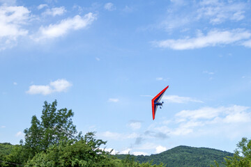 Hang gliding over the forest on a Sunny day in summer.