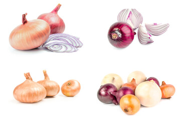 Collage of Onion isolated on a white background