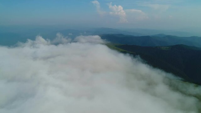 Flight over the fog over Mount Gemba. Flight over the summer mountains. Ukrainian Carpathian Mountains.
