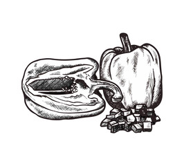 Pepper illustration in black lines vector