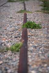 Old railroad tracks to transport coal from the mines of the Leonese mountain, Cistierna, León, Spain