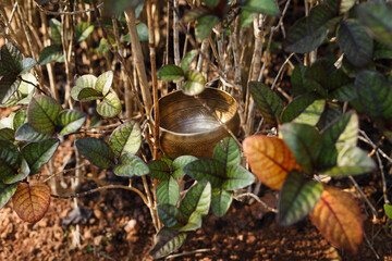 singing bowl in nature background