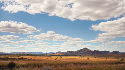 African savanna with few small palm trees, mountains in distance - typical landscape at Isalo National Park, Madagascar