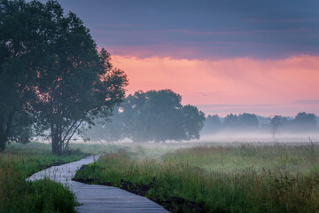 Sunrise over the meadow in the morning fog. Morning sunrise. Conditions of poor visibility. Natural landscape. Weather. Synoptic. Weather forecast