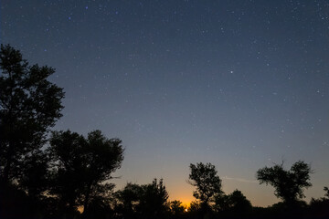 Fototapeta na wymiar night starry sky above a forest silhouette, night outdoor background