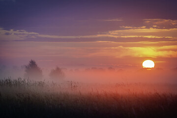 Sunrise over the meadow in the morning fog. Morning sunrise. Conditions of poor visibility. Natural...