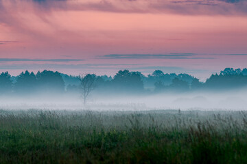 Sunrise over the meadow in the morning fog. Morning sunrise. Conditions of poor visibility. Natural...