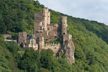 Fototapeta na wymiar Rhine River Castle