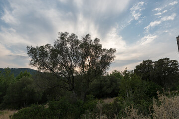 Obraz premium Magical sunset at Fiskardo Kefalonia in Greece