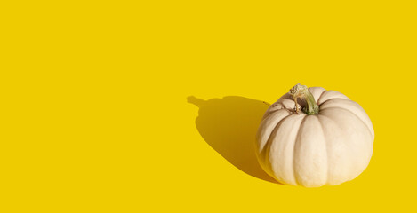 White pumpkin on orange background. Autumn banner with pumpkin. Recipe banner for seasonal cooking class. Thanksgiving wallpaper background. Harvest festival. High quality photo