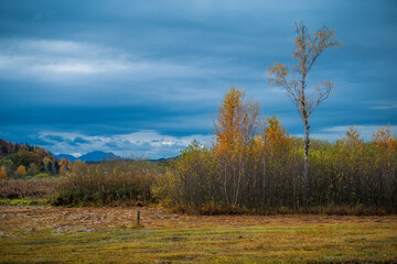 autumn landscape with trees and clouds