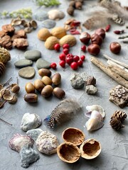 Natural material and Autumn fruits, on a gray background