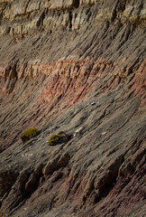Geologic details from an ocean cliff in Praia da Luz, Lagos, Algarve, Portugal.