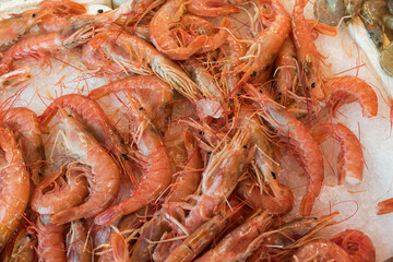 Prawns to the market