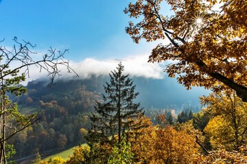 autumn nature background forest in fog. Autumn foggy morning. Rural landscape in the Czech Republic. Sun rays.