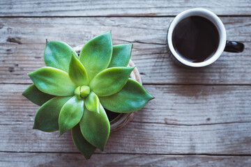 Cup of coffee on rustic wooden table