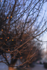 Beautiful street view with garlands and bokeh on the background. Christmas background for design. New Year's atmosphere in Europe