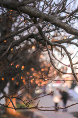 Beautiful street view with garlands and bokeh on the background. Christmas background for design. New Year's atmosphere in Europe