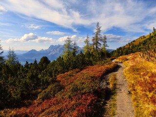 Scenic mountain landscape with hiking path,clouds,blue sky,rocks, trees, mountain peaks of Dachstein massif in the background.Early autumn,Schladming Tauern,Alps,Austria. .