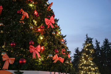 Beautiful green Christmas tree for the new year in the guiards and city lights.