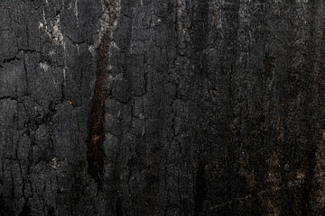 Black burned plank of wood texture with pattern 