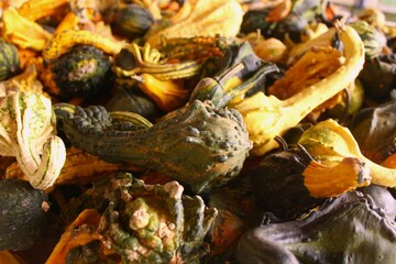 Up-close image of gourds at a Farmer's Market