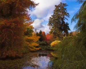 Autumn in the park