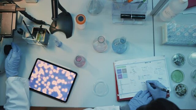 Above the Head Camera Footage of Medical Research Scientists in Blue Rubber Gloves Working Behind Tables in a Modern Laboratory. Lab Assistants Compare Samples, Use Tablet and Microscope.