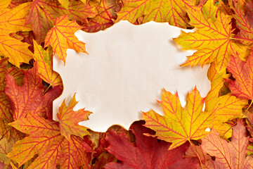 Naklejka na ściany i meble Autumn background with beautiful color leaves and vintage paper as ideal copy space for design