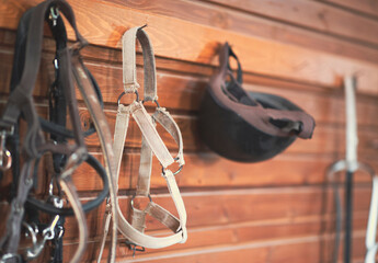 Horse riding concept items, helmet and bridle hangs on a wooden wall