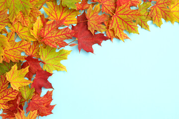 Autumn background with copy space ideal for tekst in design