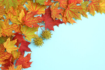 Naklejka na ściany i meble Autumn background with copy space ideal for tekst in design