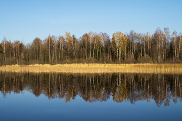 Autumn forest with leafless leaves is reflected in the water of the lake. The concept of a private holiday. Photophone