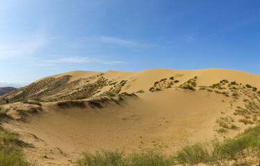 sand dunes in the desert