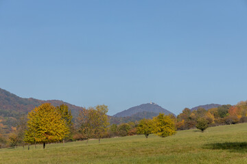 Fototapeta premium Autumn nature with clear sky